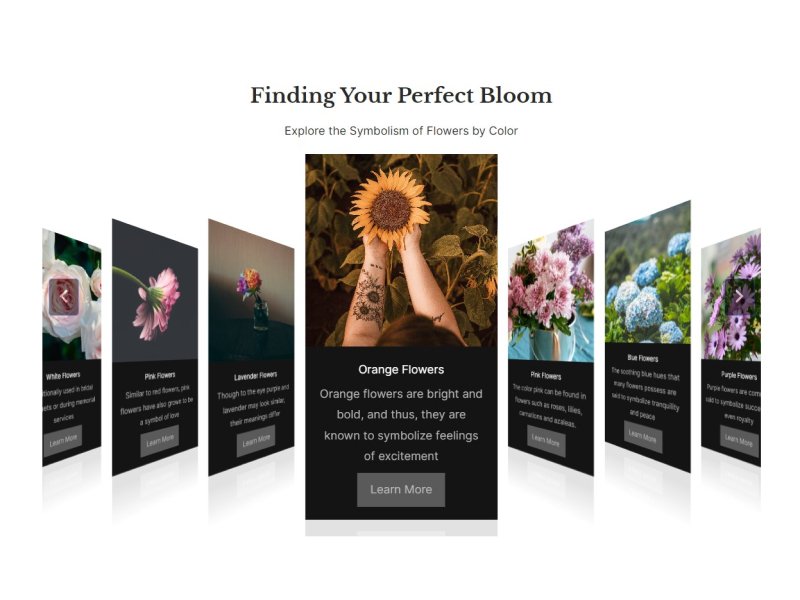 Coverflow Carousel with Content Cards